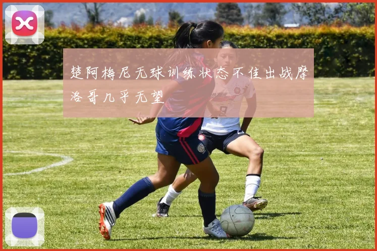 楚阿梅尼无球训练状态不佳出战摩洛哥几乎无望